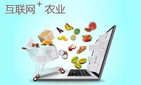 怎樣加入農(nóng)業(yè)電商平臺(tái)？